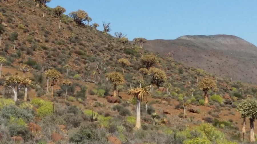 0 Bedroom Property for Sale in Calvinia Rural Northern Cape